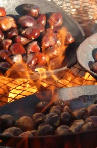 Castagnata